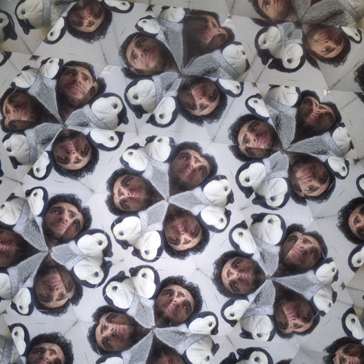 Alejandro y los pájaros