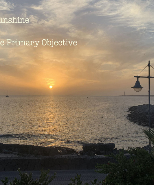 The Primary Objective