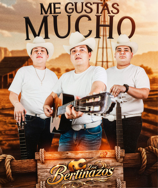 Los bertinazos