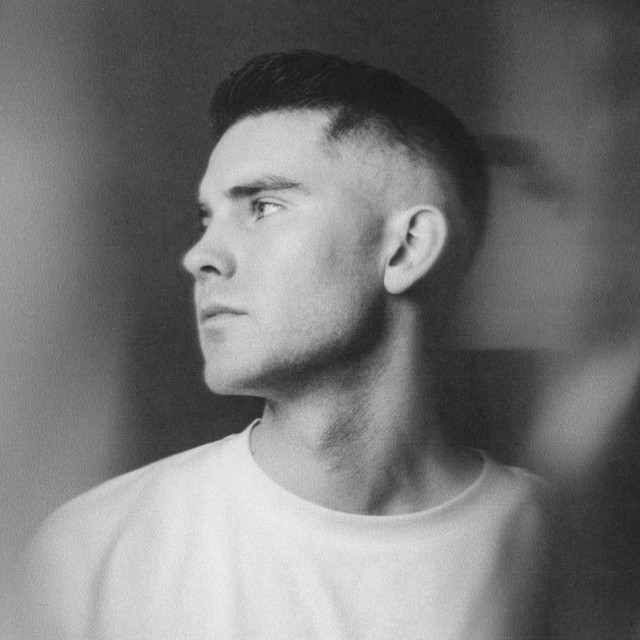 Júlí Heiðar image