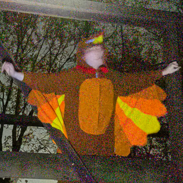 flopsuh