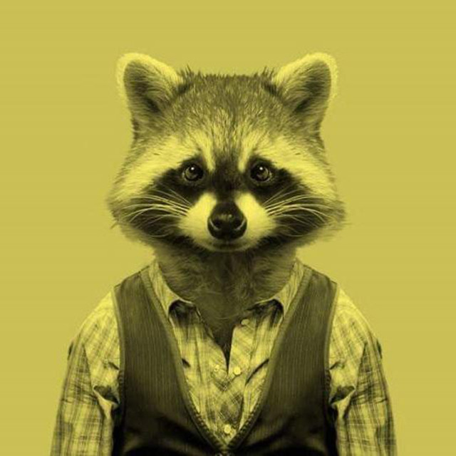 Don Mapache | Spotify