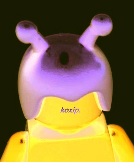 koxip