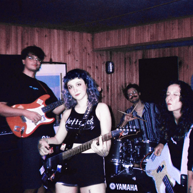 straygaze