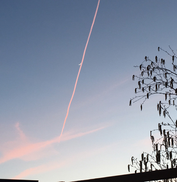 Villem