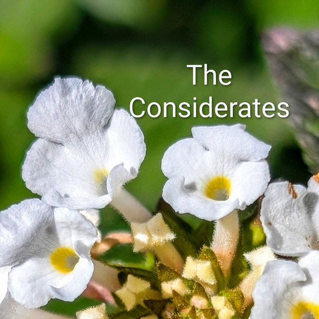 The Considerates