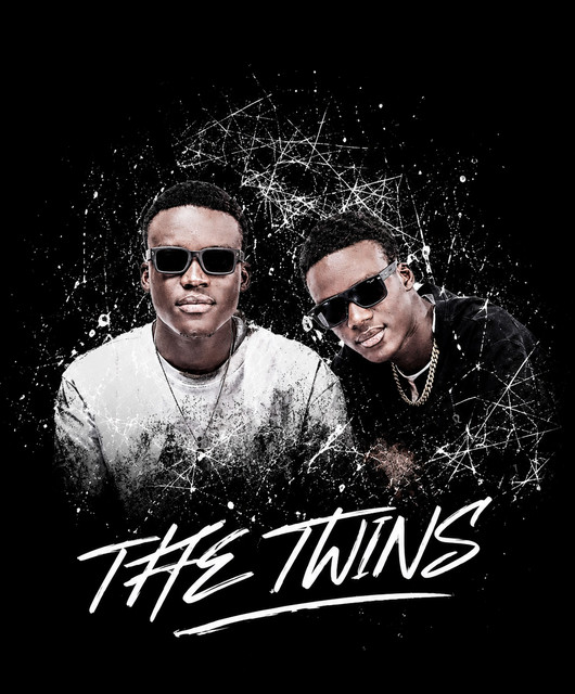 THE TWINS