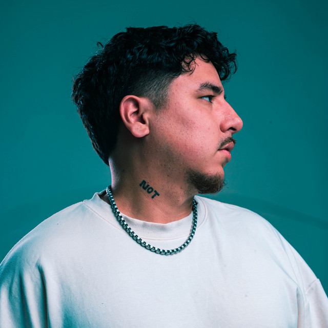 Avatar de Not A Lex en Spotify