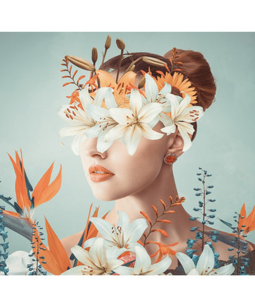 Margot Todd image