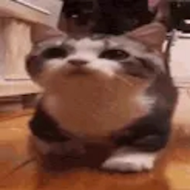 Kitr1