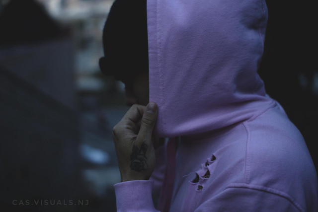 Rolo | Spotify