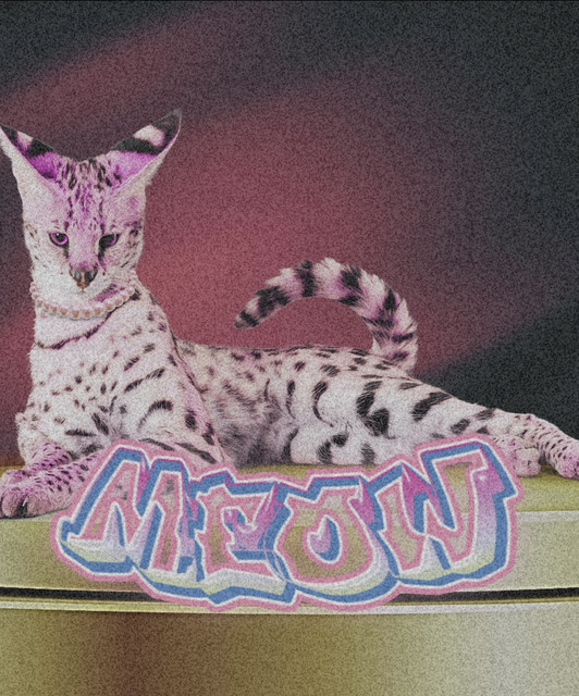 Nevaeh
