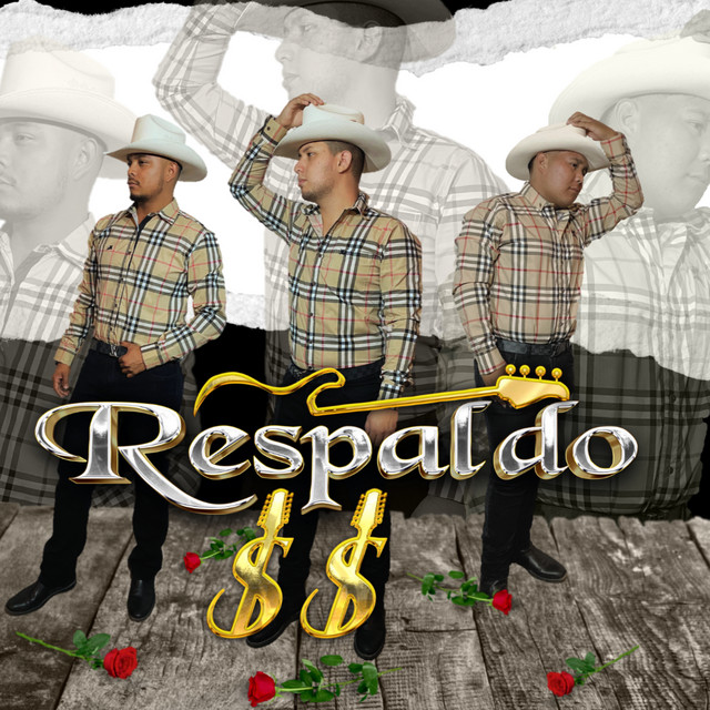 Respaldo SS
