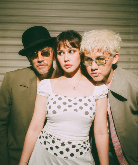 The Midnight Darlings