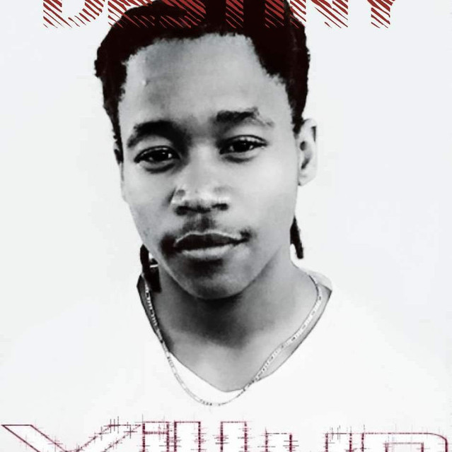 Villyn