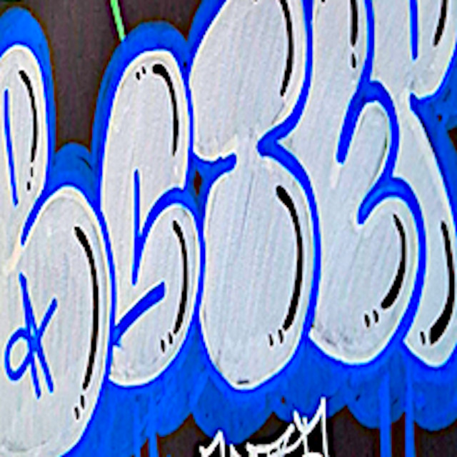 Bstep photo