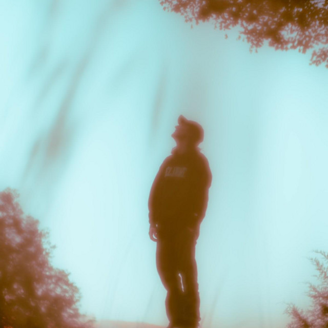 Woolley | Spotify