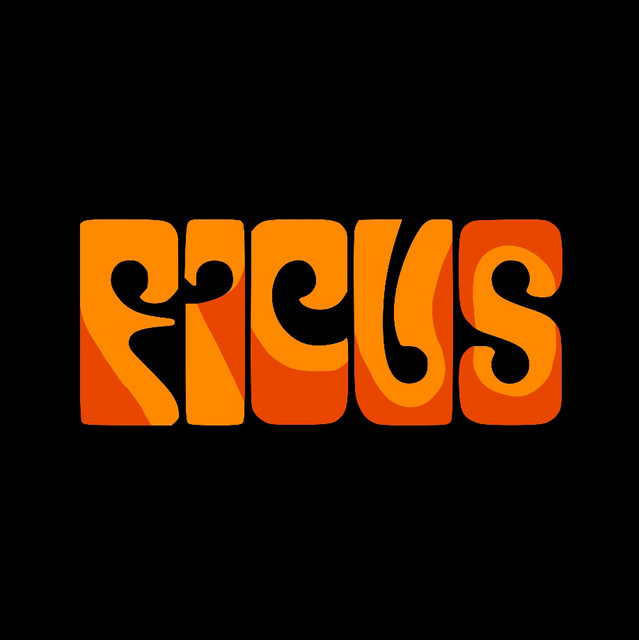 Ficus