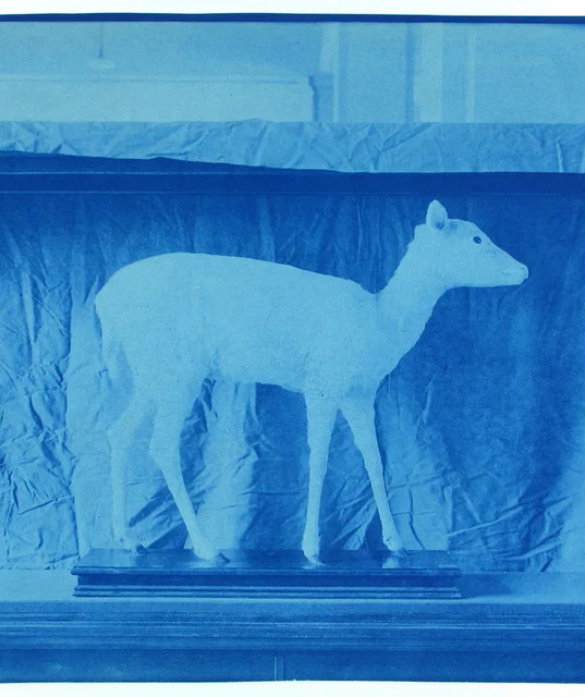 & Sun