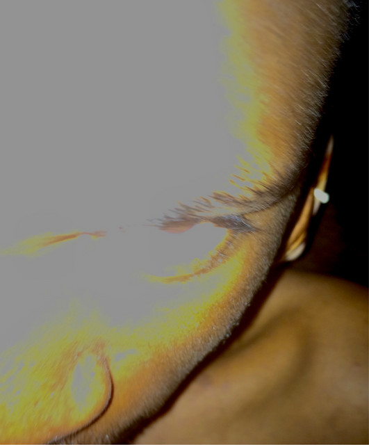 See Kirya