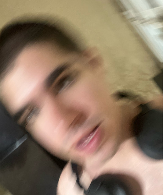 Bicho-paulo