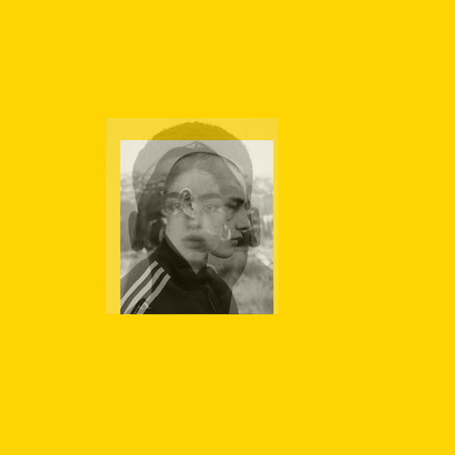 petit roi image