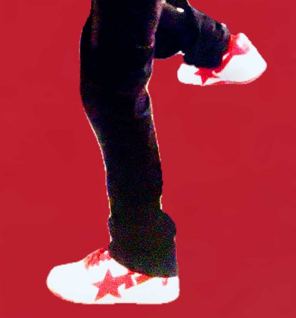 ace landish