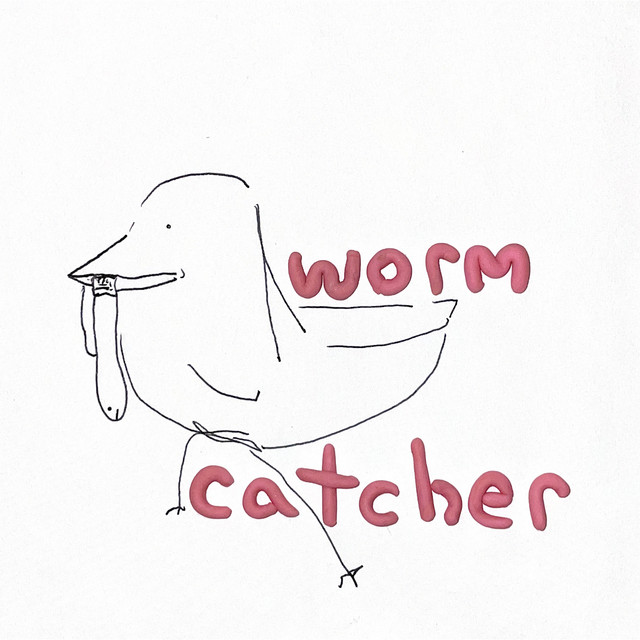 Wormcatcher
