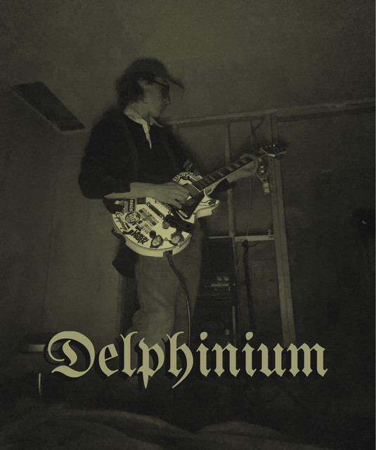 Delphinium | Spotify