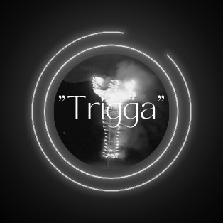 Trigga Collective | Spotify