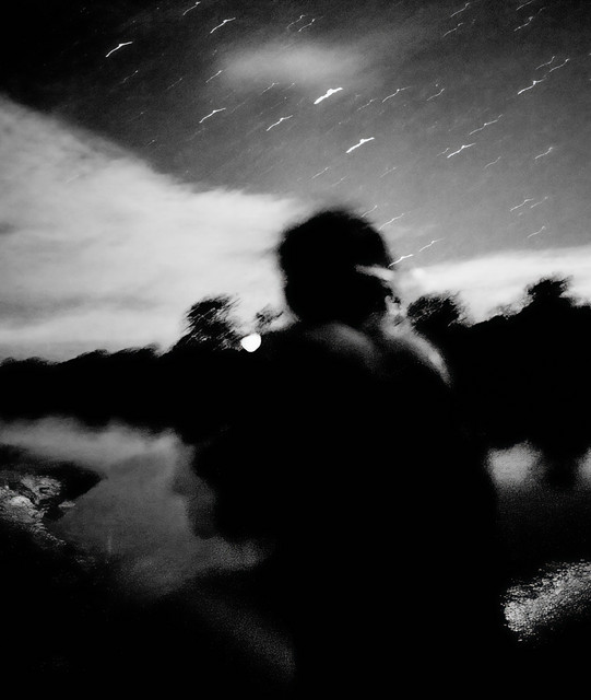 nocturnal