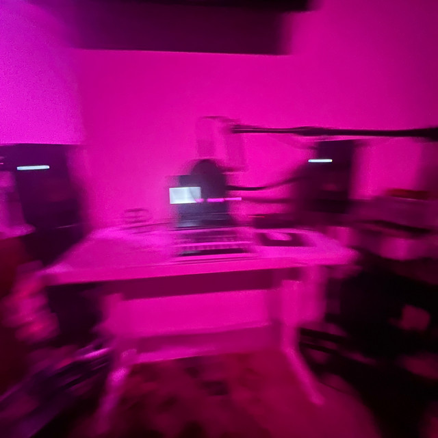 gvn.