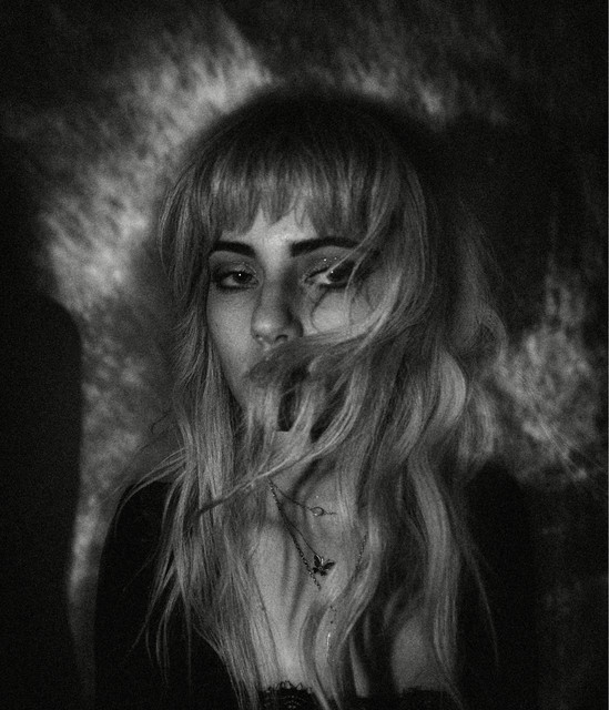 Avalon Rose
