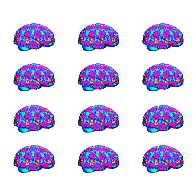 prod. LSD