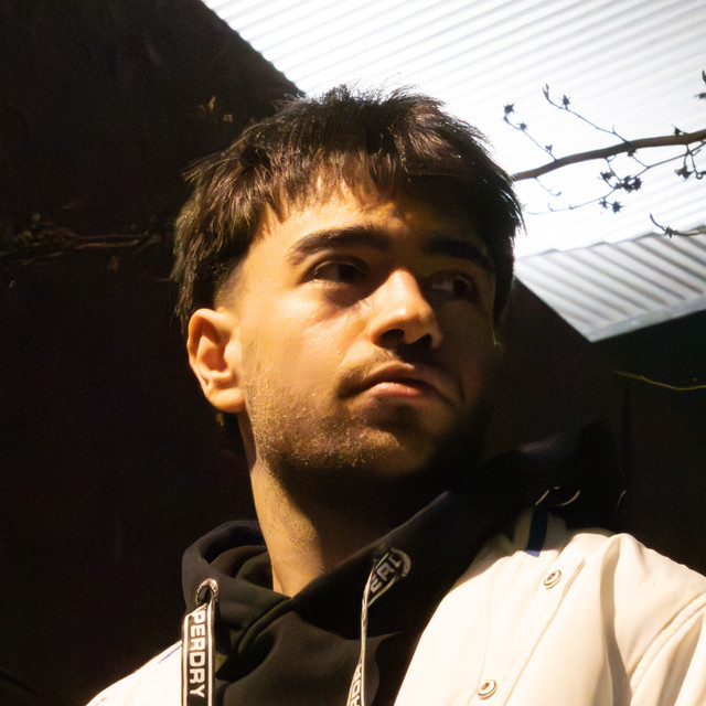 Hugo S