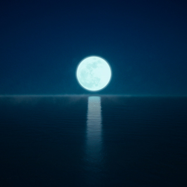 Pelagiel Wave