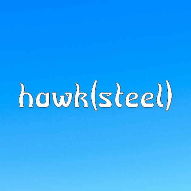 hawk(steel)