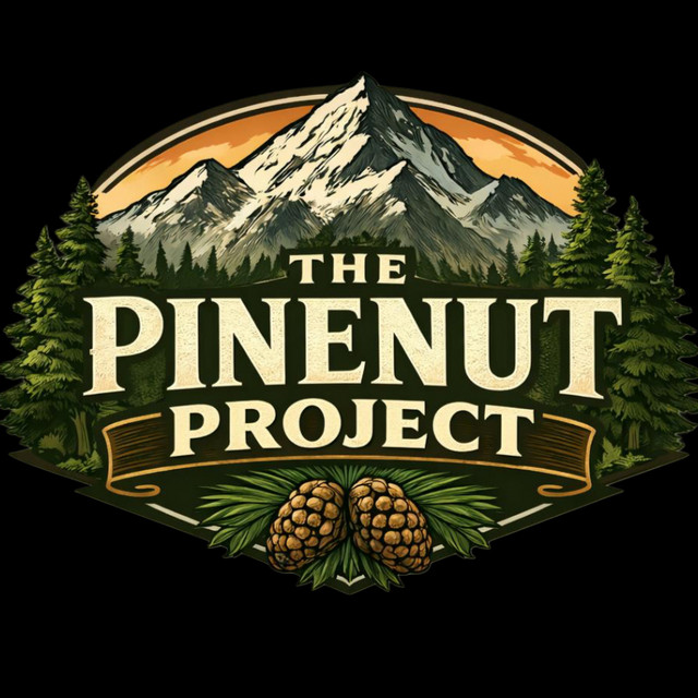 The Pinenut Project