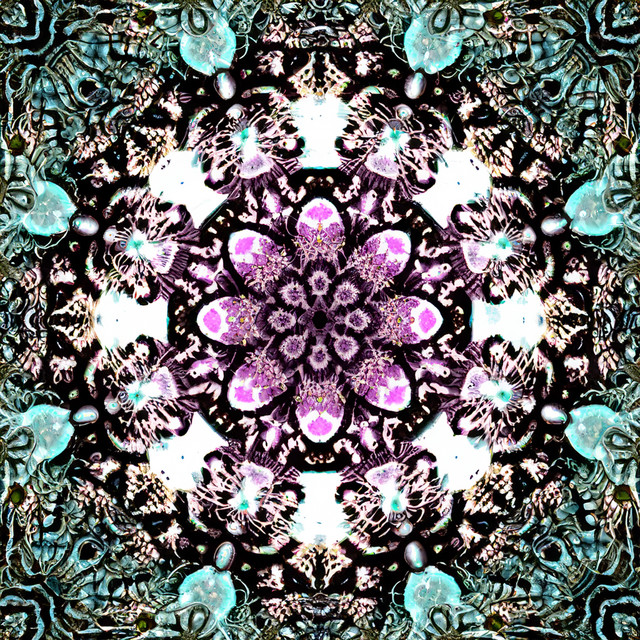 Arcturian Being