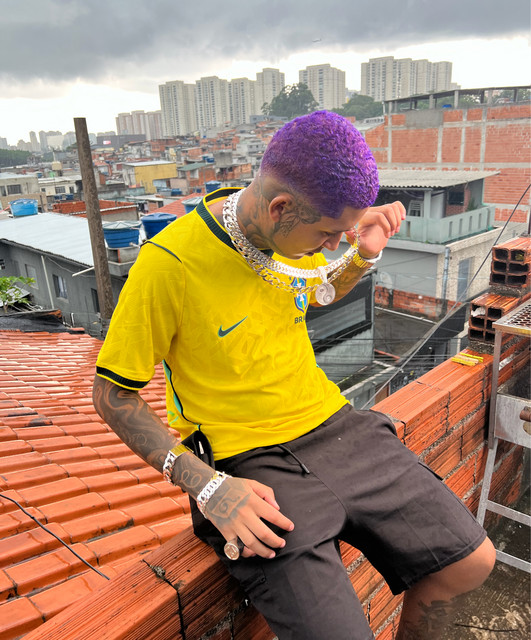 MC Fr da Norte image