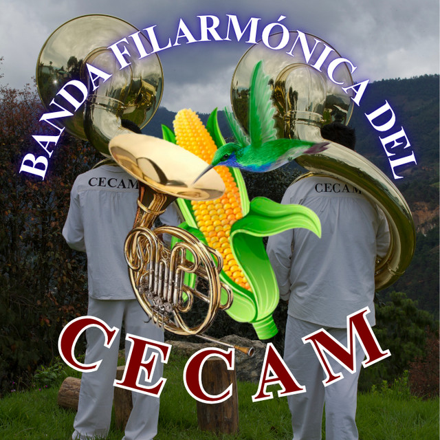Banda Filarmonica del CECAM Image