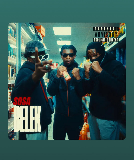 Lvb sosa