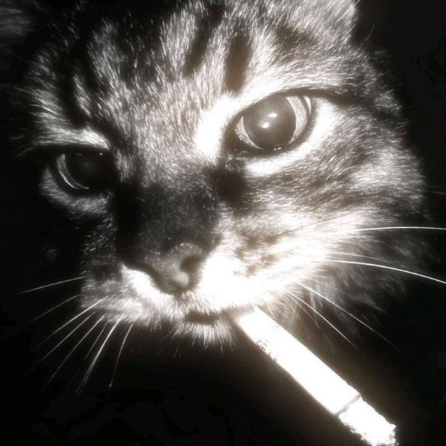 slxzer