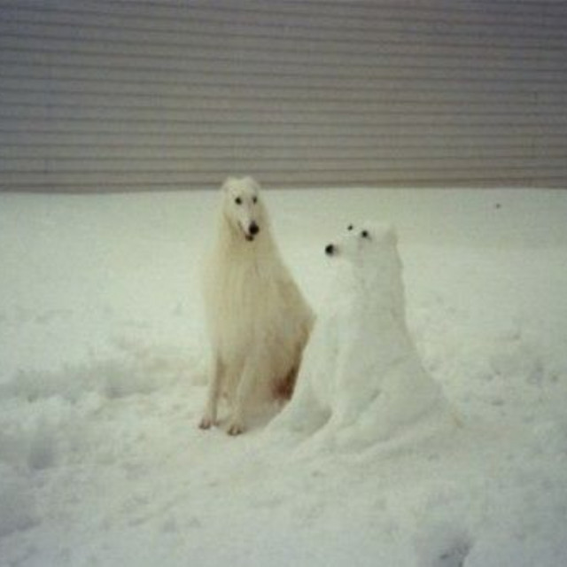 winter20