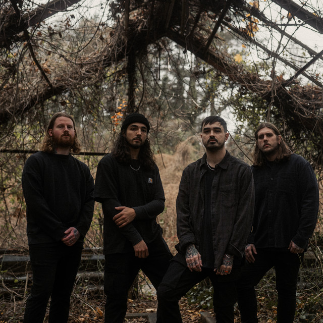 Like Moths To Flames image