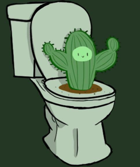 Cactus Toilet | Spotify
