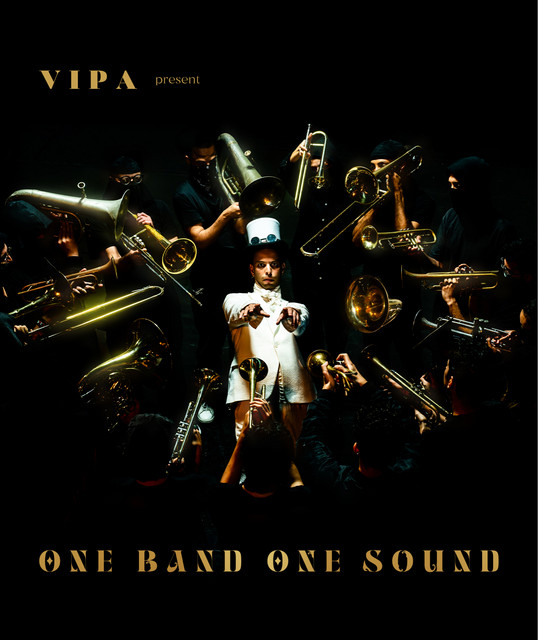 Vipa
