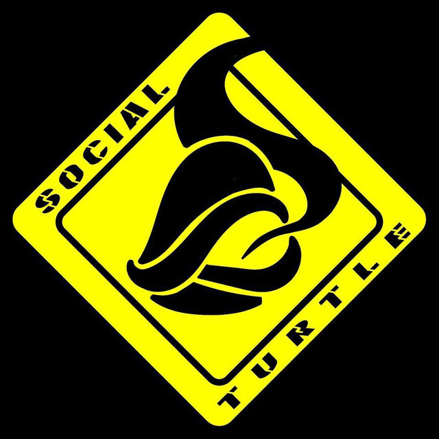 Social Turtle | Spotify
