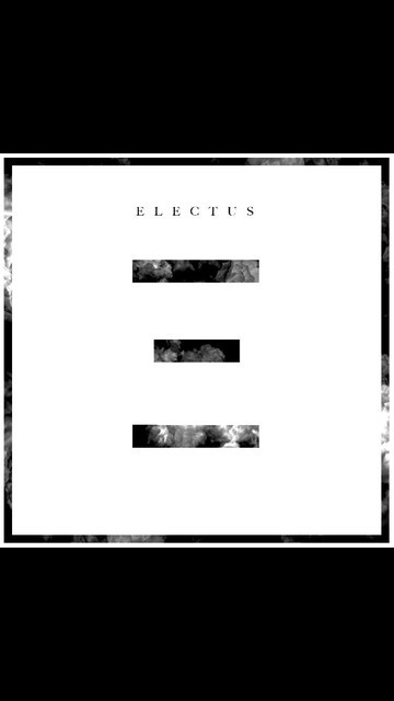 Electus image
