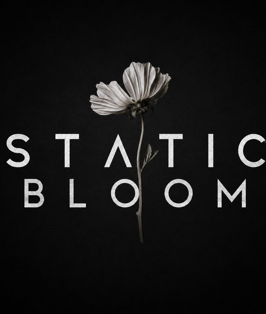 Static Bloom